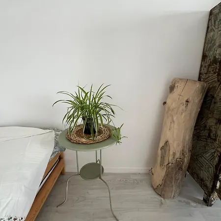 F2 4 Pers - 50m - Clim - Wifi - Parking Apartmán *