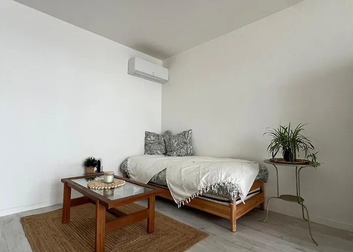 F2 4 Pers - 50m - Clim - Wifi - Parking Apartamento
